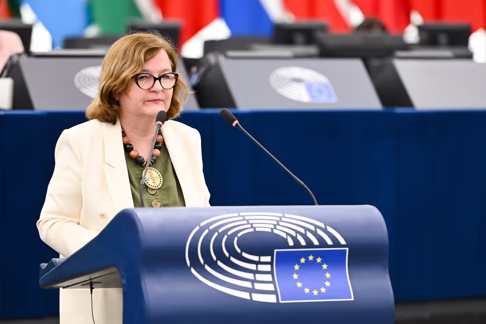 EP Plenary session - 2023 and 2024 reports on Georgia