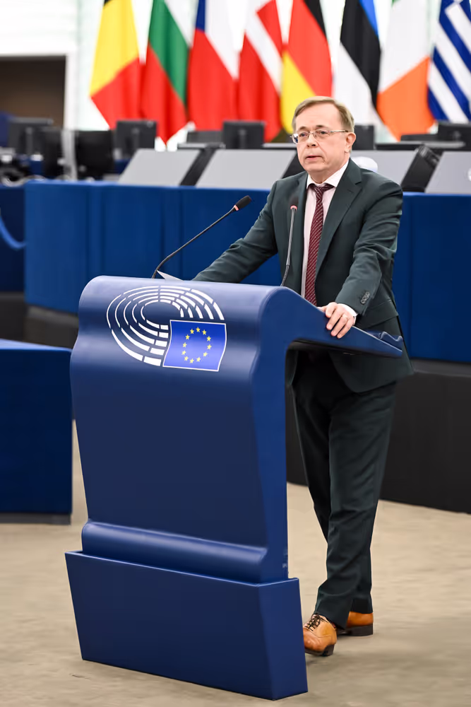 EP Plenary session - 2023 and 2024 reports on Georgia