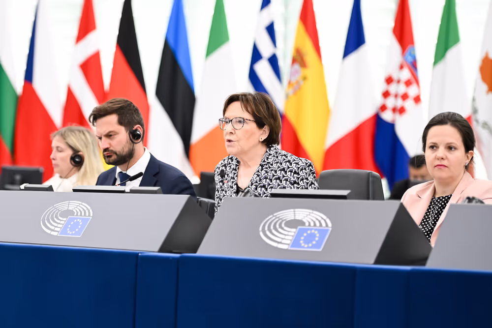 EP Plenary session - 2023 and 2024 reports on Georgia