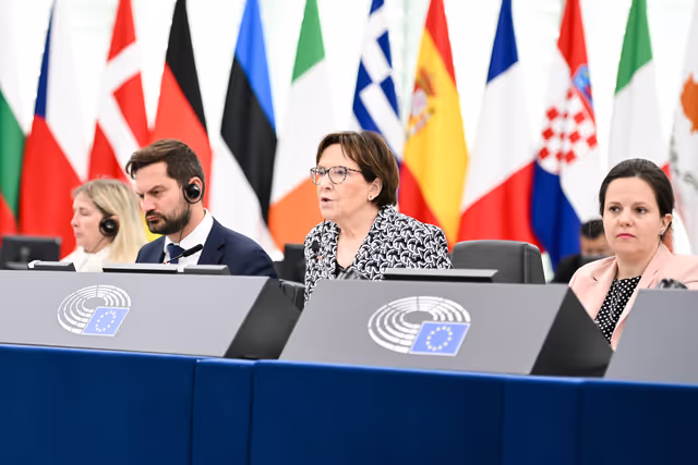 Fotografija 9: EP Plenary session - 2023 and 2024 reports on Georgia