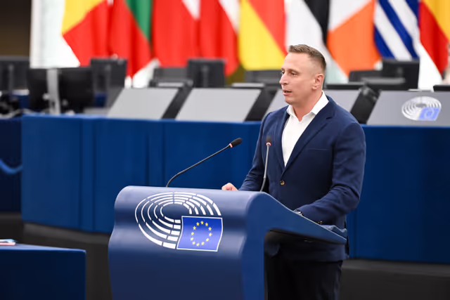 Fotografija 8: EP Plenary session - 2023 and 2024 reports on Georgia