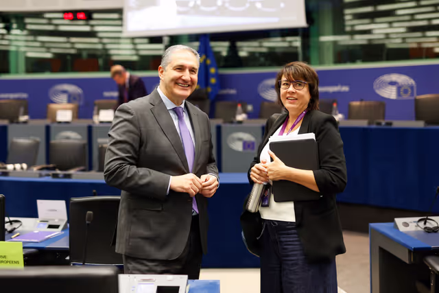 Fotografija 17: DCAM Delegation Constitutive Meeting