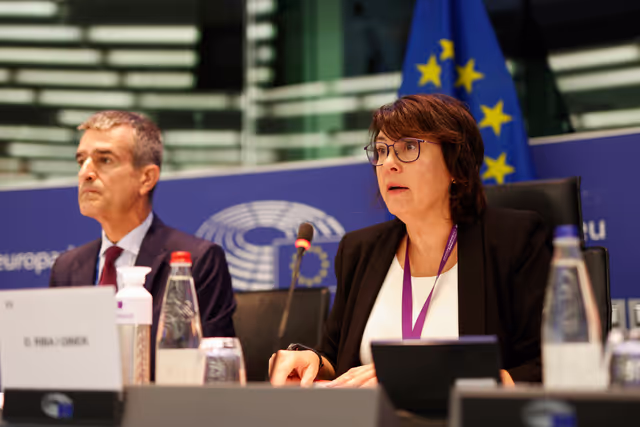 Fotografija 13: DCAM Delegation Constitutive Meeting