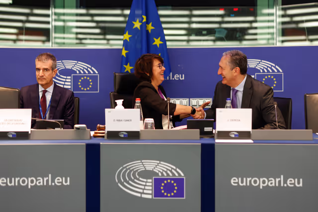 Fotografija 3: DCAM Delegation Constitutive Meeting