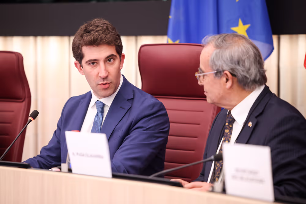 Delegation to the EU - Chile Joint Parliamentary Committee