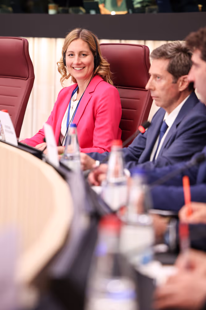 Delegation to the EU - Chile Joint Parliamentary Committee