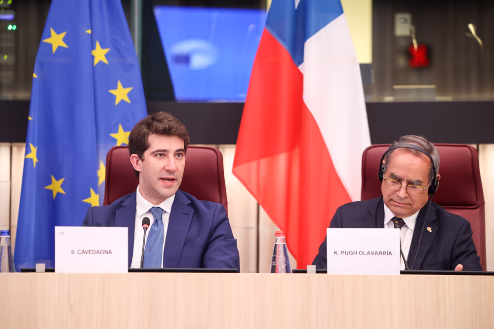 Delegation to the EU - Chile Joint Parliamentary Committee