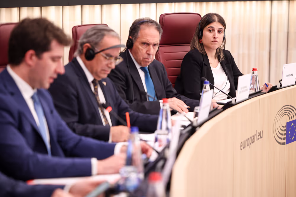 Delegation to the EU - Chile Joint Parliamentary Committee