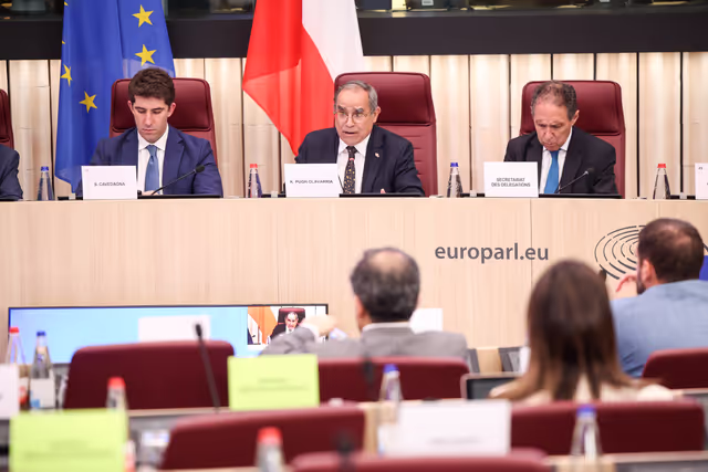 Fotografia 2: Delegation to the EU - Chile Joint Parliamentary Committee
