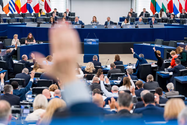 Fotografia 50: EP Plenary session - Voting session