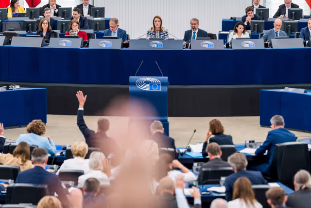 Billede 4: EP Plenary session - Voting session