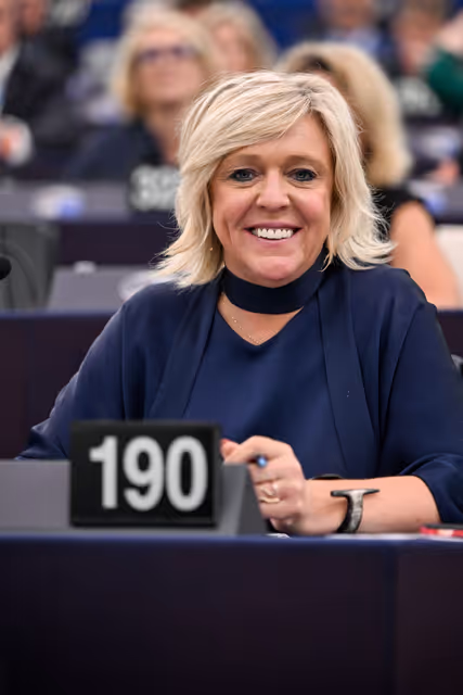 Billede 24: EP Plenary session - Voting session
