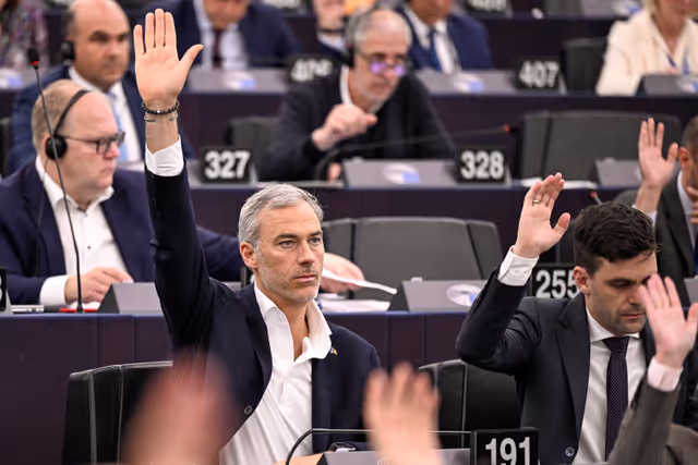 Billede 10: EP Plenary session - Voting session