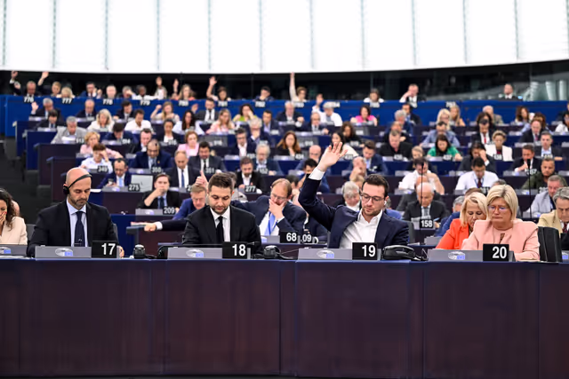 EP Plenary session - Voting session