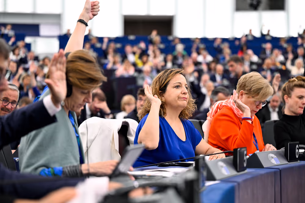 EP Plenary session - Voting session