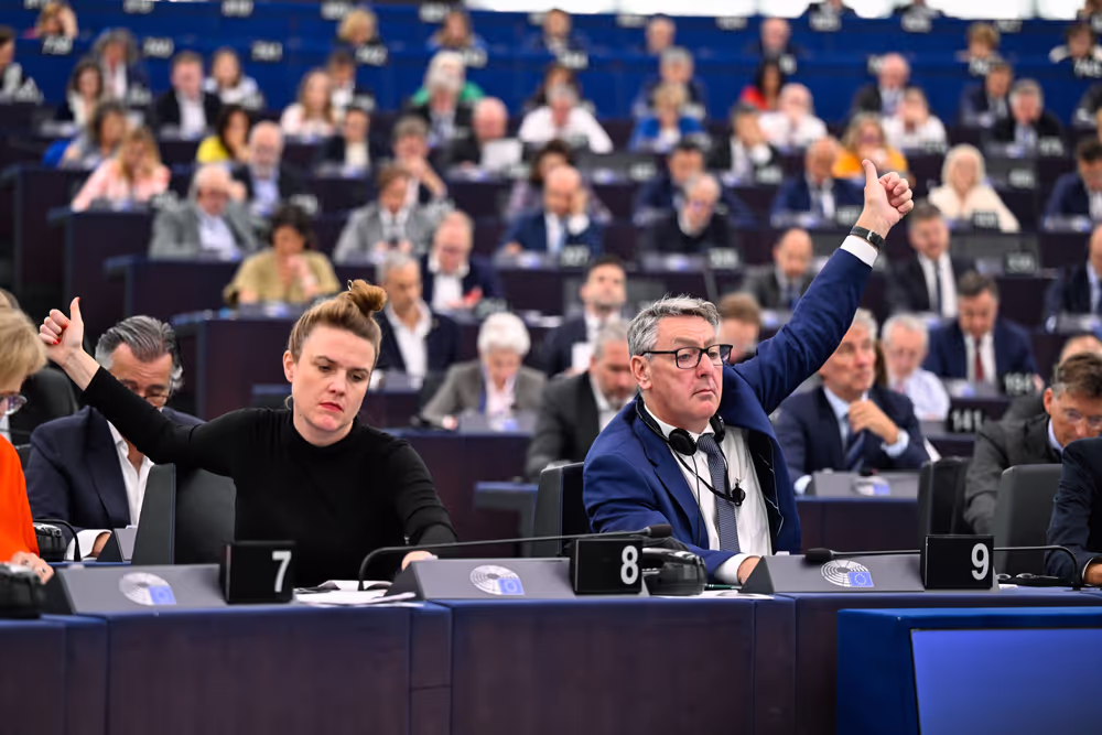 EP Plenary session - Voting session
