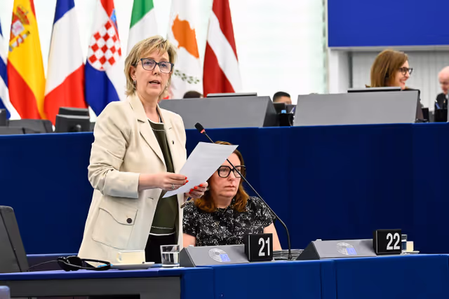 Billede 11: EP Plenary session - Voting session