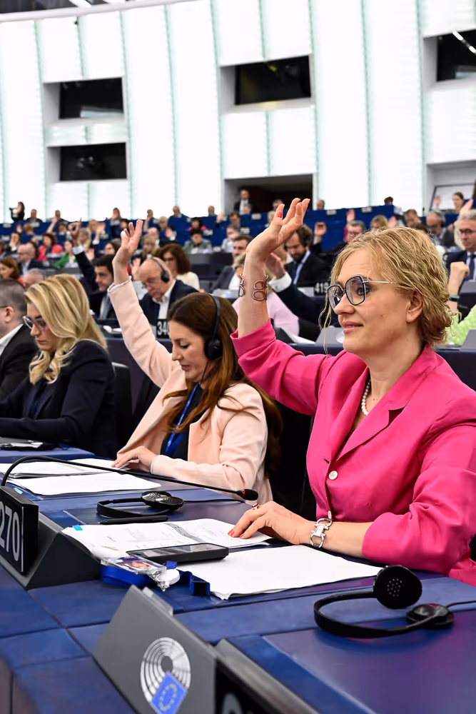 EP Plenary session - Voting session