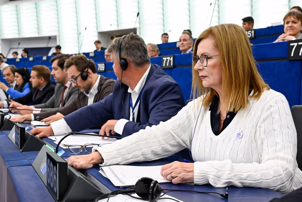 EP Plenary session - Voting session