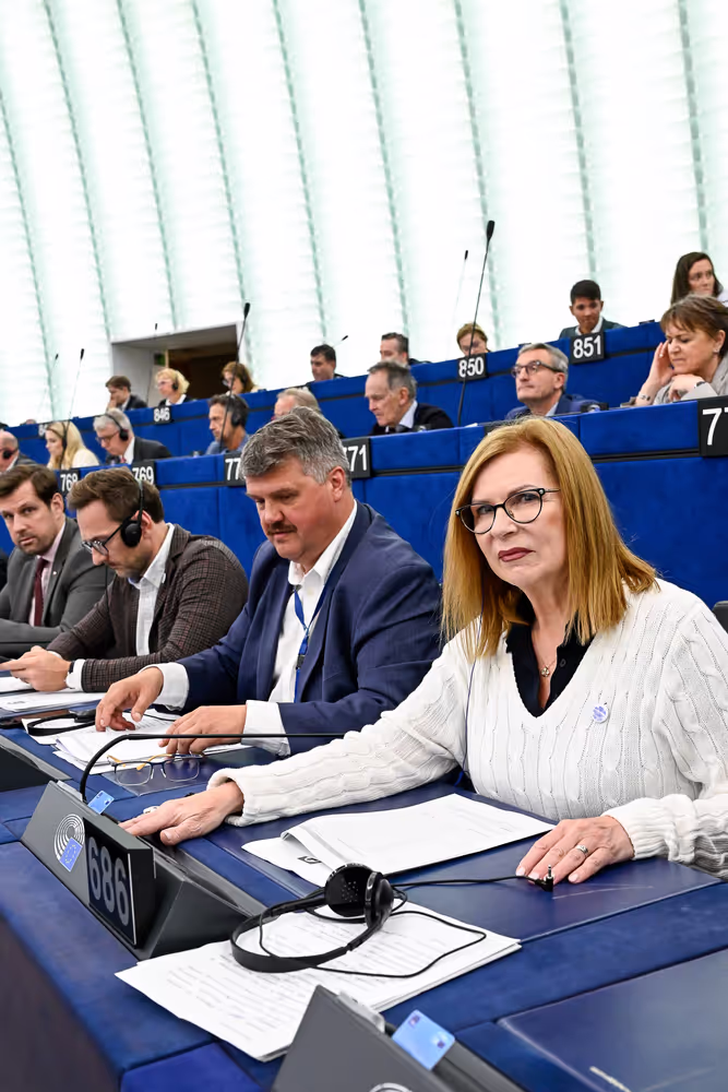EP Plenary session - Voting session
