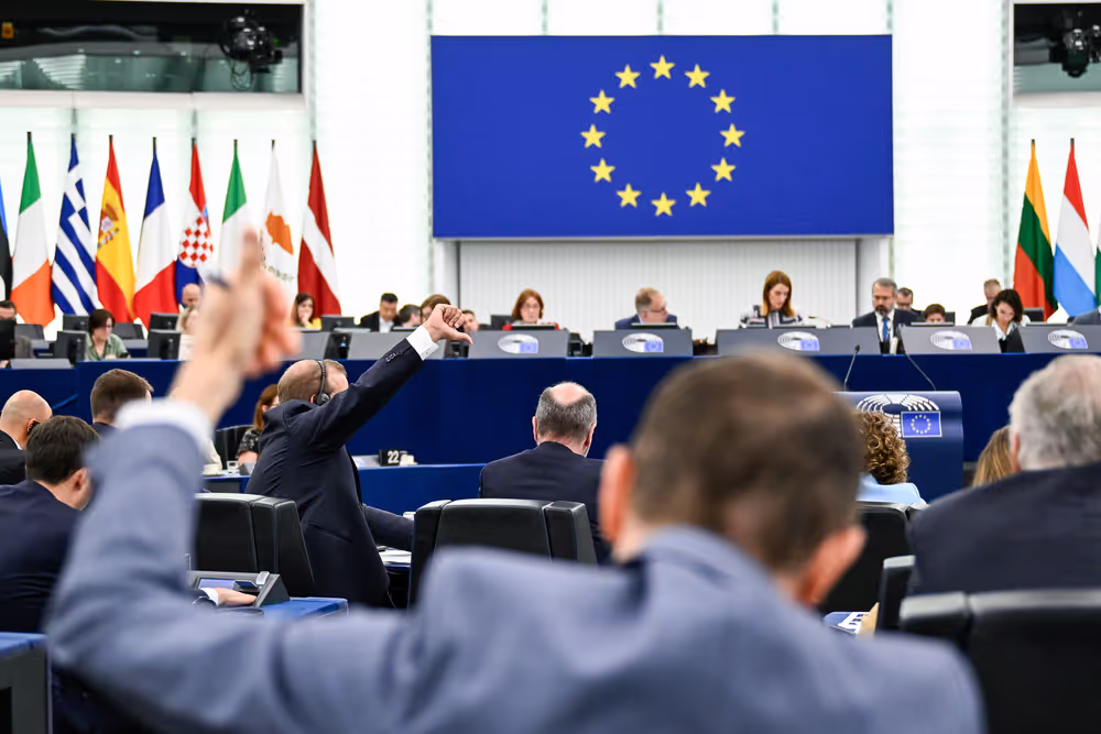 EP Plenary session - Voting session