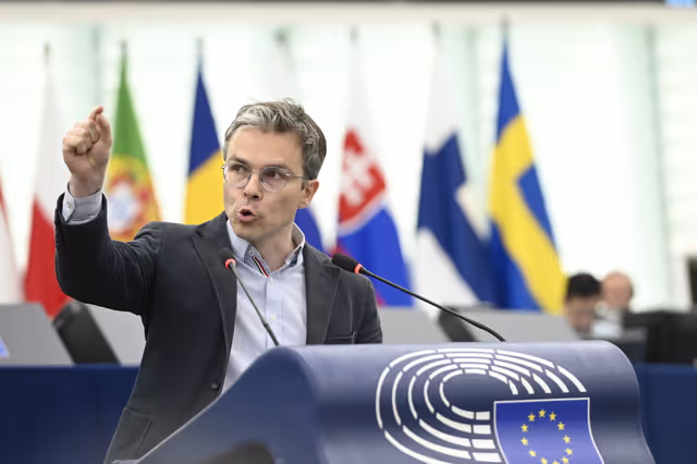 Foto 25: EP Plenary session - EU Preparedness Union in light of the upcoming wildfire season