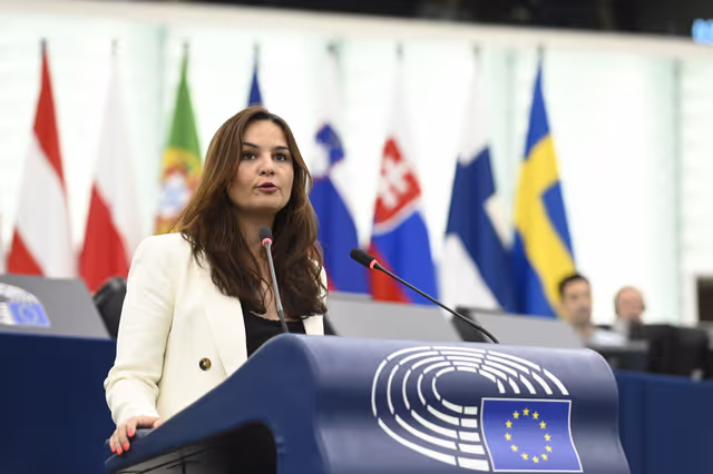 Foto 24: EP Plenary session - EU Preparedness Union in light of the upcoming wildfire season