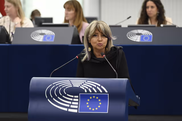 Foto 11: EP Plenary session - EU Preparedness Union in light of the upcoming wildfire season