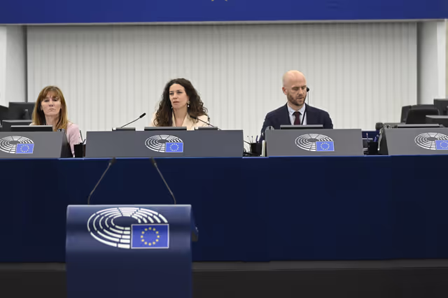 Foto 6: EP Plenary session - EU Preparedness Union in light of the upcoming wildfire season