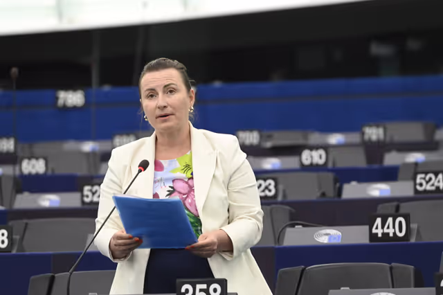 Foto 4: EP Plenary session - EU Preparedness Union in light of the upcoming wildfire season