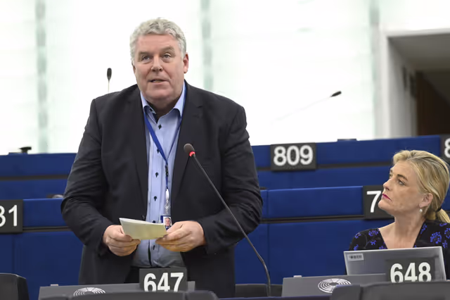 Foto 2: EP Plenary session - EU Preparedness Union in light of the upcoming wildfire season