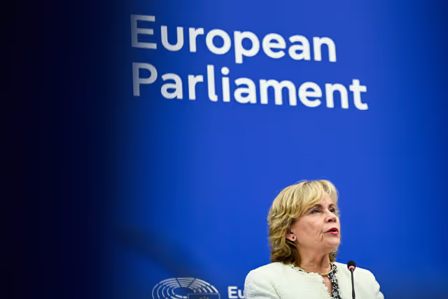 Press conference on the 2023/2024 reports on Georgia.