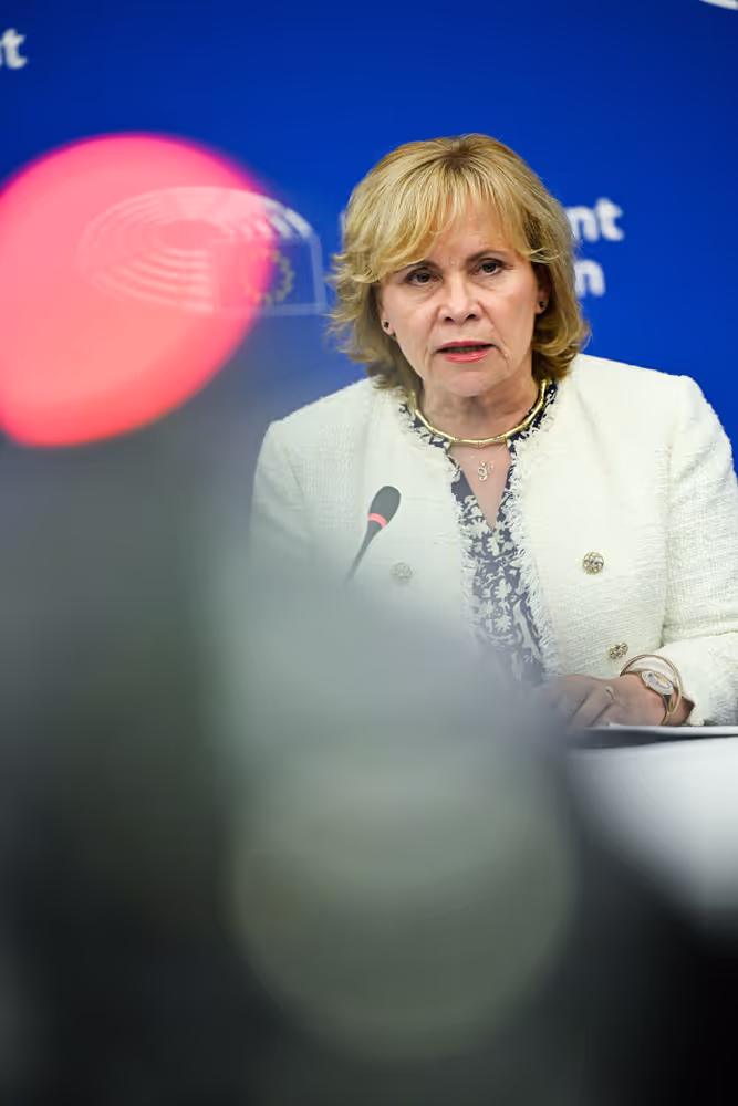 Press conference on the 2023/2024 reports on Georgia.