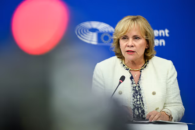 Press conference on the 2023/2024 reports on Georgia.