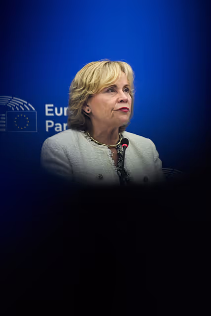 Press conference on the 2023/2024 reports on Georgia.