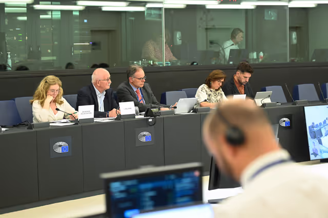 Fotografija 9: Meeting of the Delegation for Relations with South Africa (D-ZA)