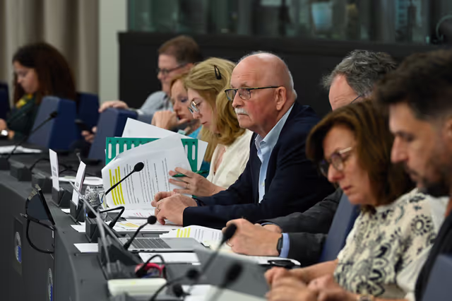 Fotografija 5: Meeting of the Delegation for Relations with South Africa (D-ZA)