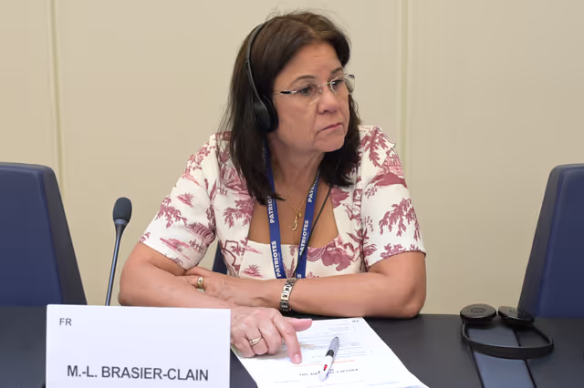 Fotografija 13: Meeting of the Delegation for Relations with South Africa (D-ZA)