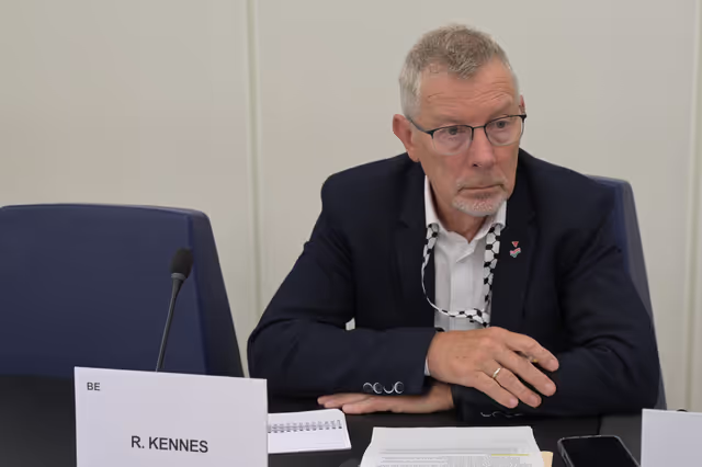 Fotografija 15: Meeting of the Delegation for Relations with South Africa (D-ZA)