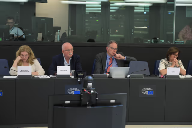 Fotografija 10: Meeting of the Delegation for Relations with South Africa (D-ZA)