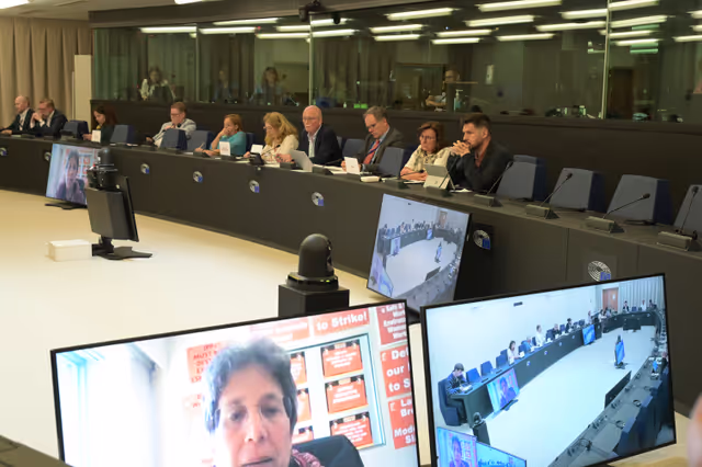 Fotografija 8: Meeting of the Delegation for Relations with South Africa (D-ZA)