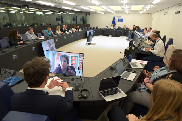 Fotografija 2: Meeting of the Delegation for Relations with South Africa (D-ZA)