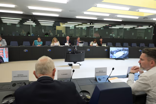 Fotografija 1: Meeting of the Delegation for Relations with South Africa (D-ZA)