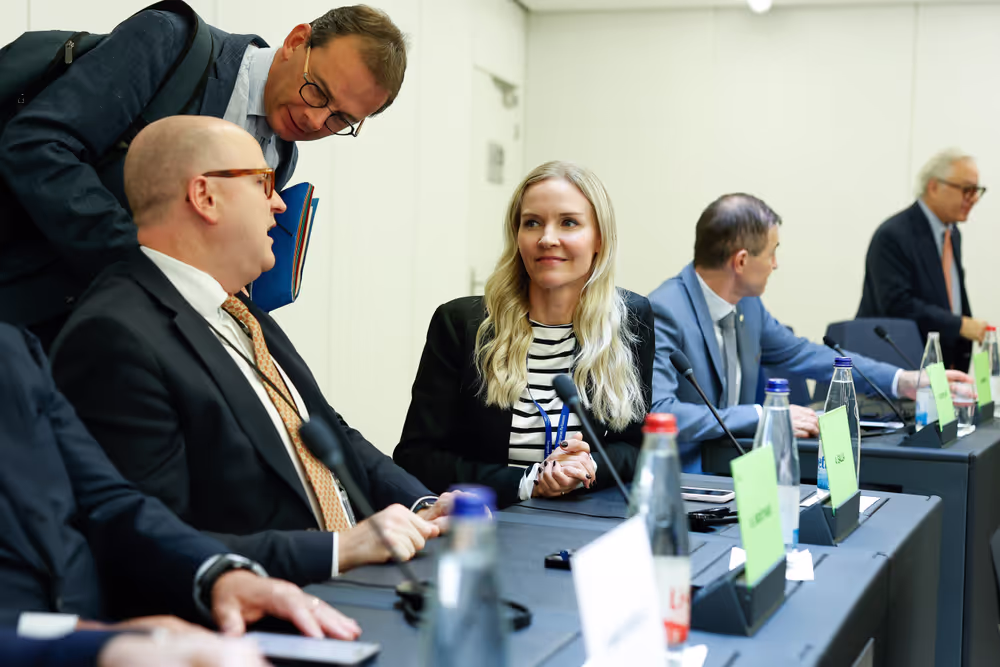 Delegation for relations with the countries of Southeast Asia and the ASEAN - Election of vice chairs