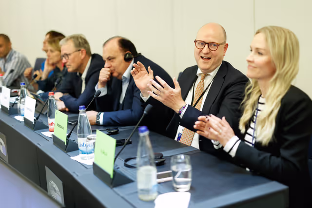 Delegation for relations with the countries of Southeast Asia and the ASEAN - Election of vice chairs