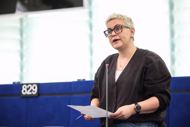 EP Plenary session - Post-2027 Common Agricultural Policy