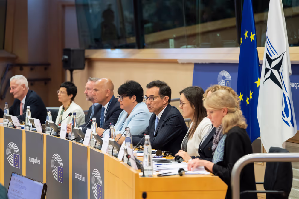 107th Rose-Roth Seminar - EU-NATO Cooperation : Essential Partnership and Democratic Resilience