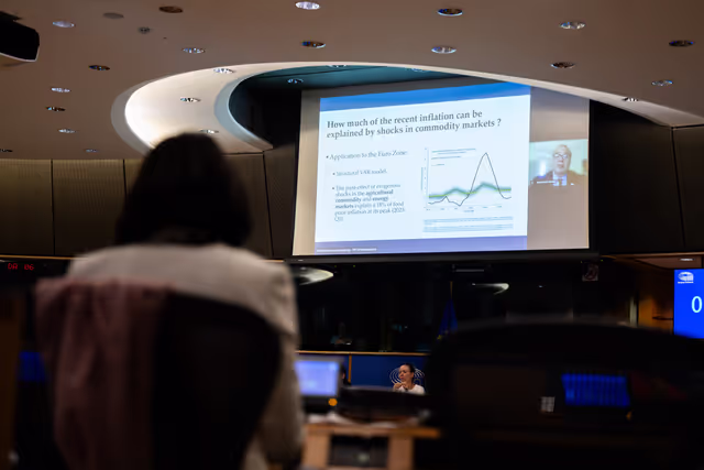 IMCO - Public hearing ' Rise of consumer prices in the internal market '