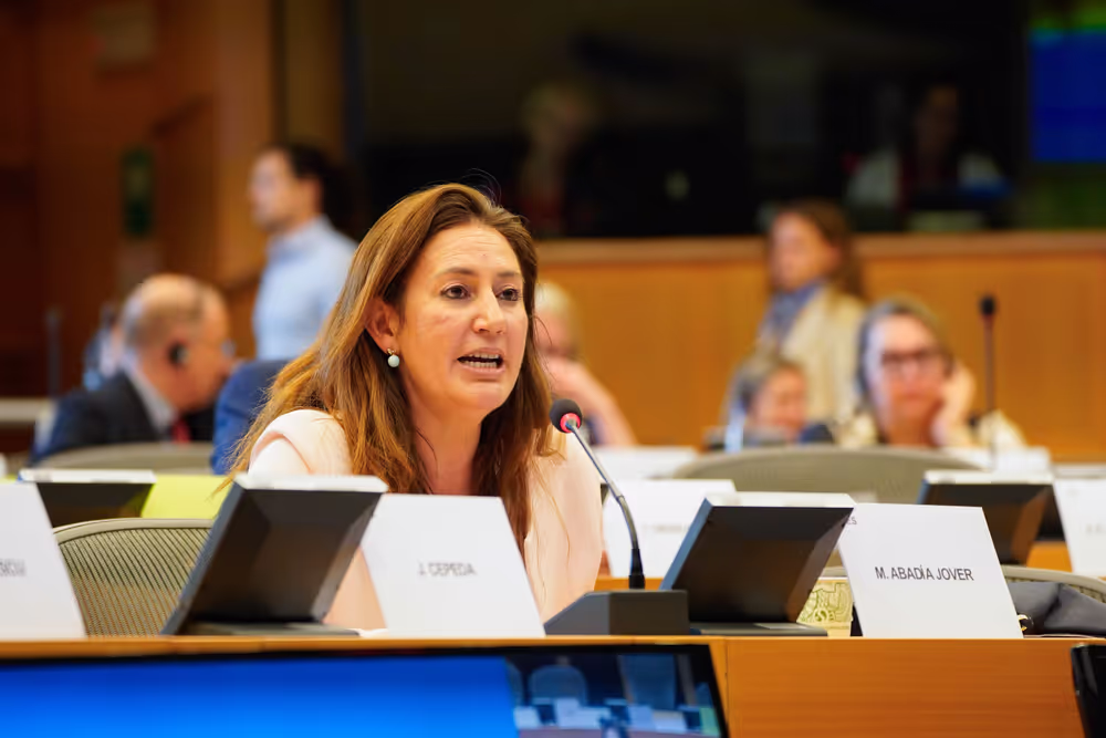 JURI.- Presentation of the ECA special report 28/2024: Enforcing EU law