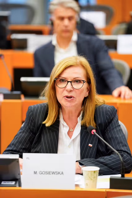 Fotografia 4: DEVE - Presentation of the priorities of the Danish Presidency of the Council